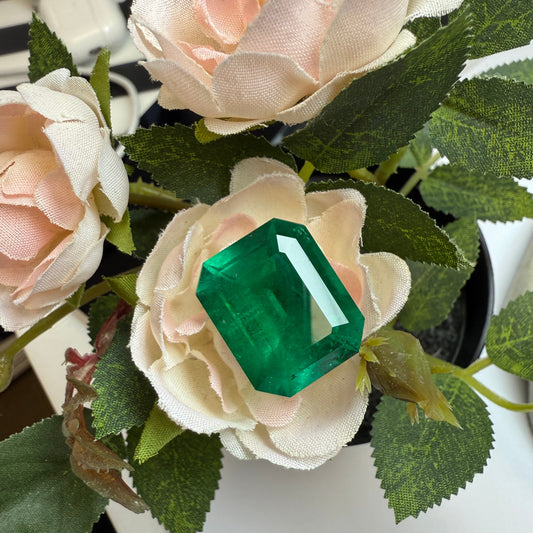 Natural Columbia Muzo Emerald 29.08 cts Octagon by SR-Takat
