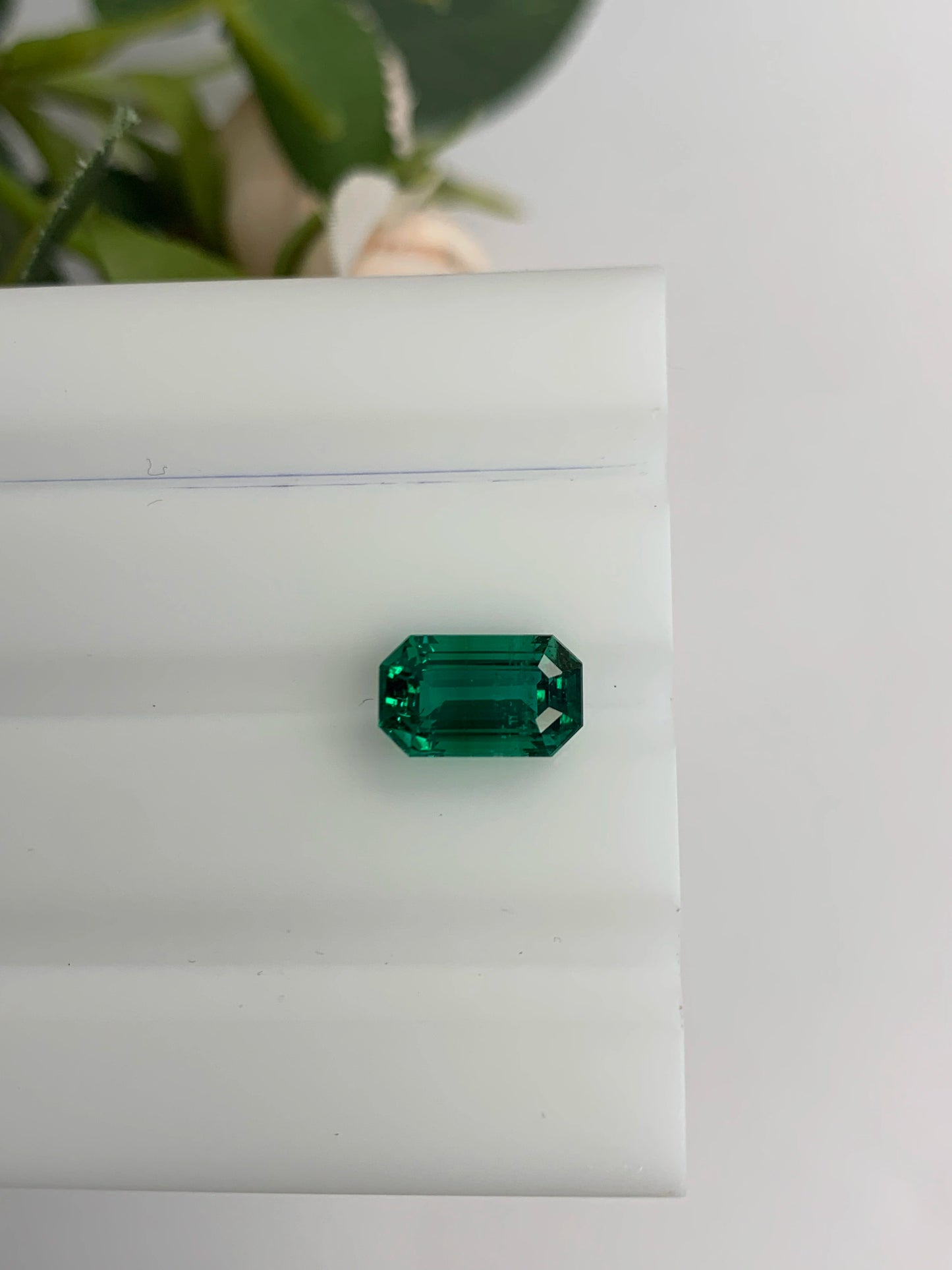 Natural Zambian Emerald Minor 2.41 cts Octagon by SR-Takat