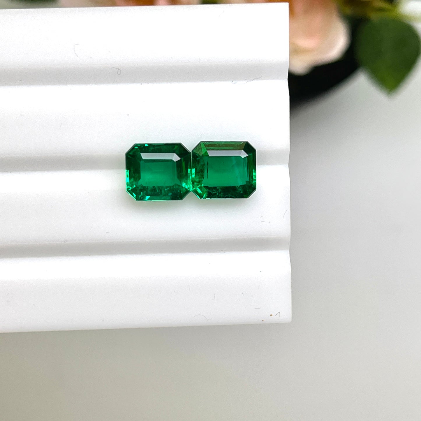 Natural Zambia Emerald 5.57 cts Octagon pair by SR-Takat