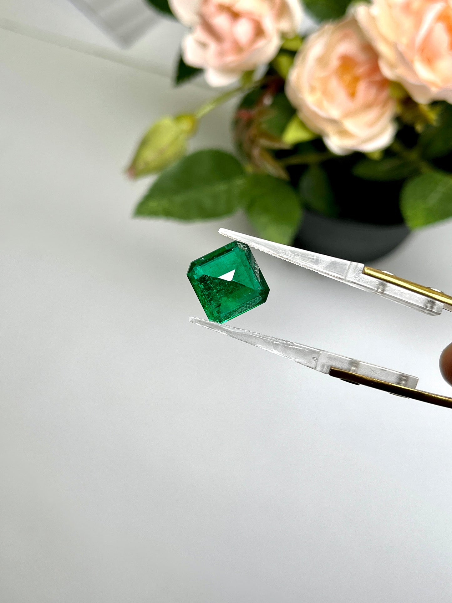 Natural Zambia No-Oil Emerald 6.52 cts Oct by SR-Takat