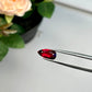 Natural Ruby No Heat Mozambique 2.77 cts Pear by SR-Takat