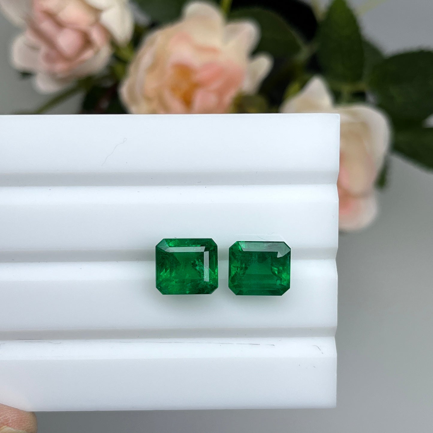 Natural Zambia No oil/Insig Emerald 7.24 cts Octagon pair by SR-Takat