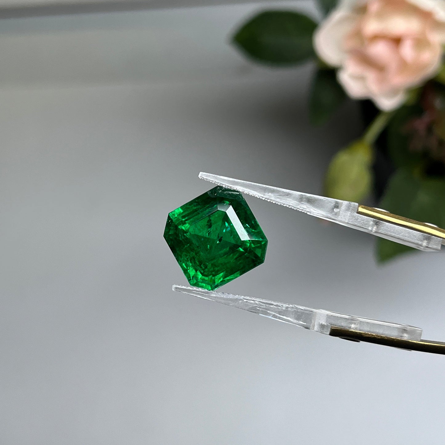 Natural Zambia Ins Emerald 11.83 cts Octagon by SR-Takat