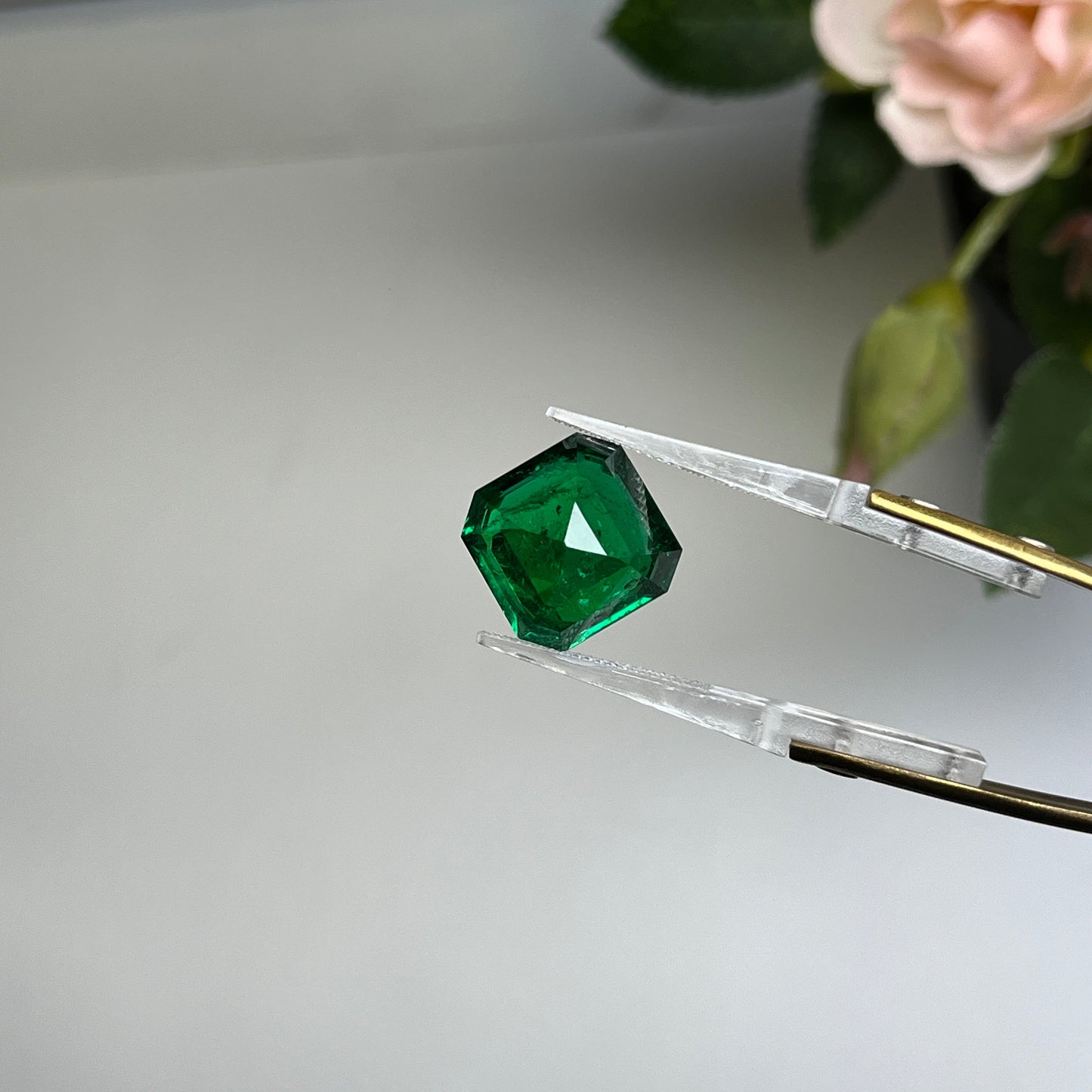 Natural Zambia Ins Emerald 11.83 cts Octagon by SR-Takat