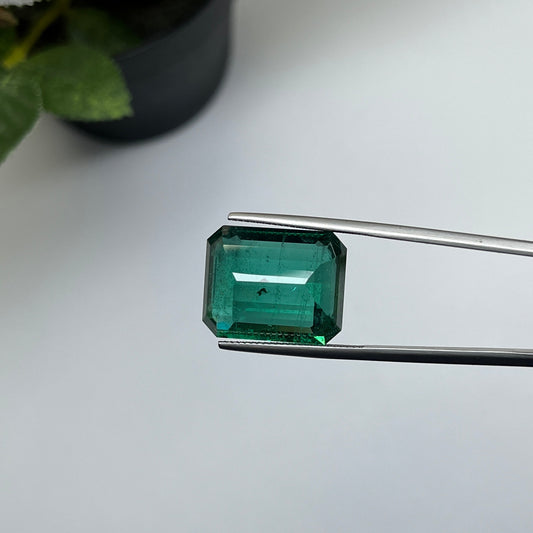 Natural Zambia Minor Emerald 21.83 cts Oct by SR-Takat