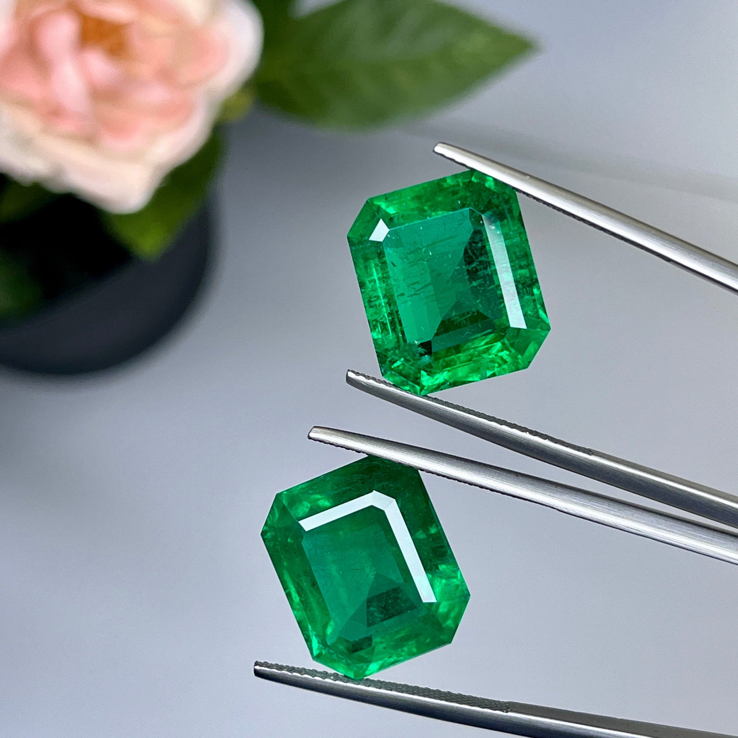 Natural Zambia Minor Emerald 25.78 cts Octagon pair by SR-Takat