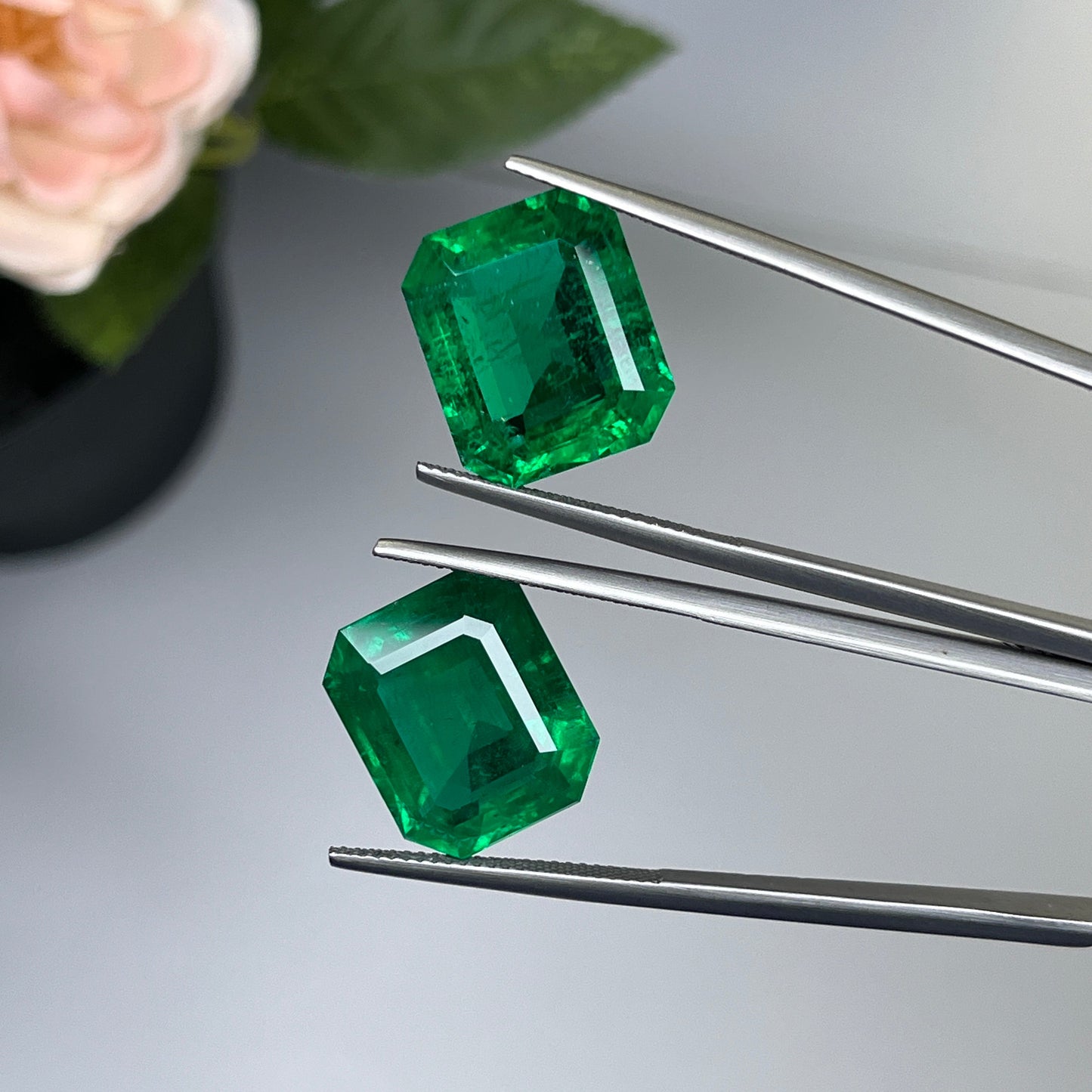 Natural Zambia Minor Emerald 25.78 cts Octagon pair by SR-Takat