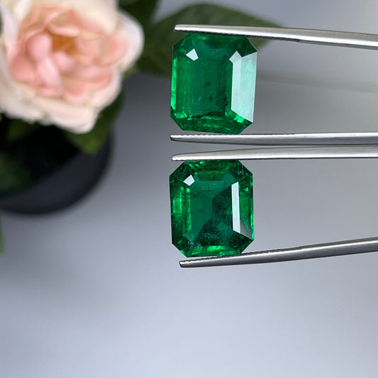 Natural Zambia Minor Emerald 25.55 cts Octagon pair by SR-Takat