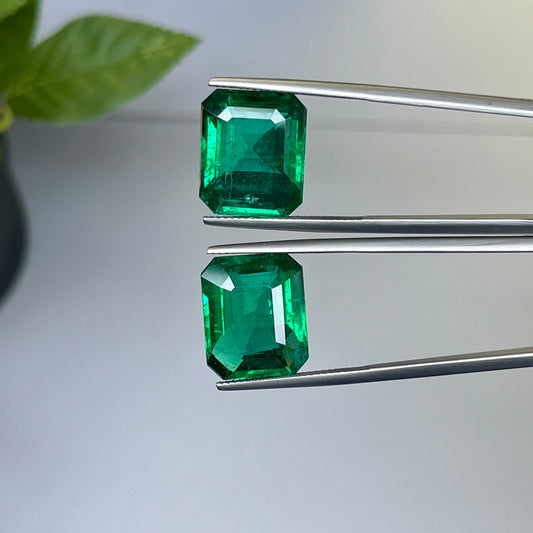 Natural Zambia Minor Emerald 23.47 cts Octagon pair by SR-Takat