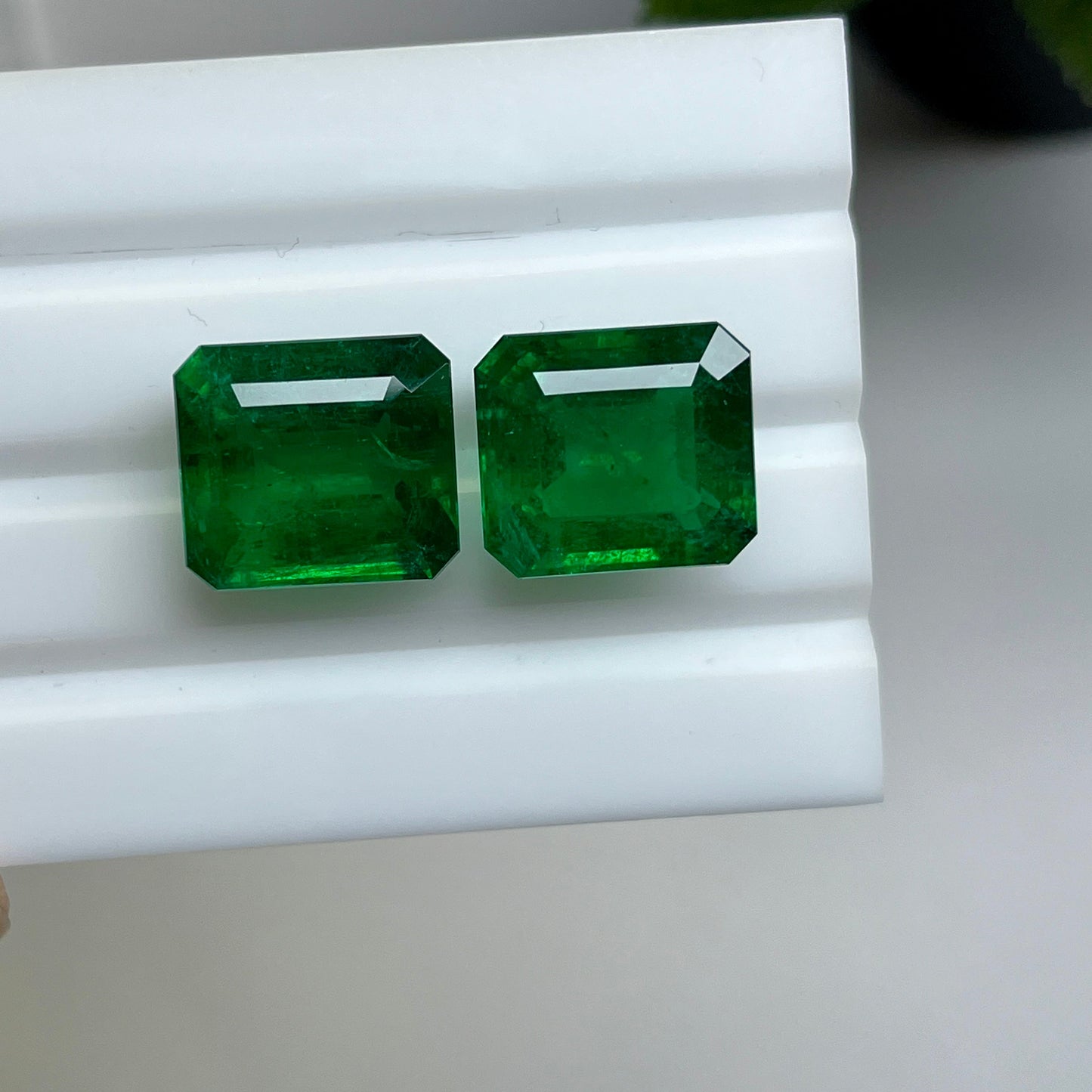 Natural Zambia Minor Emerald 29.40 cts Octagon pair by SR-Takat