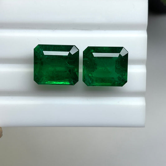 Natural Zambia Minor Emerald 29.40 cts Octagon pair by SR-Takat