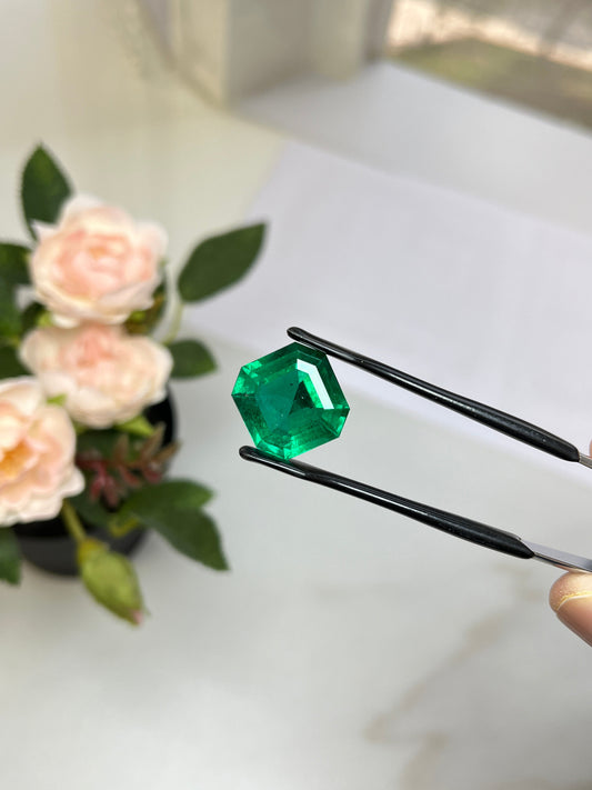 Natural Zambia Emerald 15.53 cts Octagon by SR-Takat