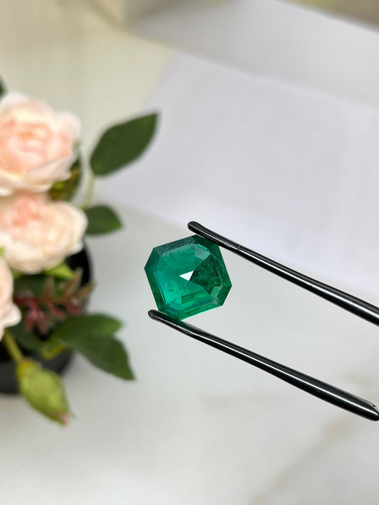 Natural Zambia Emerald 15.53 cts Octagon by SR-Takat