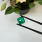 Natural Zambia No Oil Emerald 7.54 cts Octagon by SR-Takat