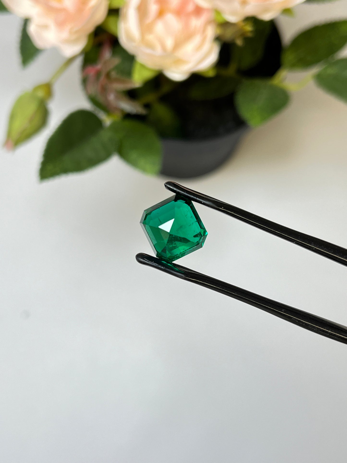 Natural Zambia No Oil Emerald 7.54 cts Octagon by SR-Takat