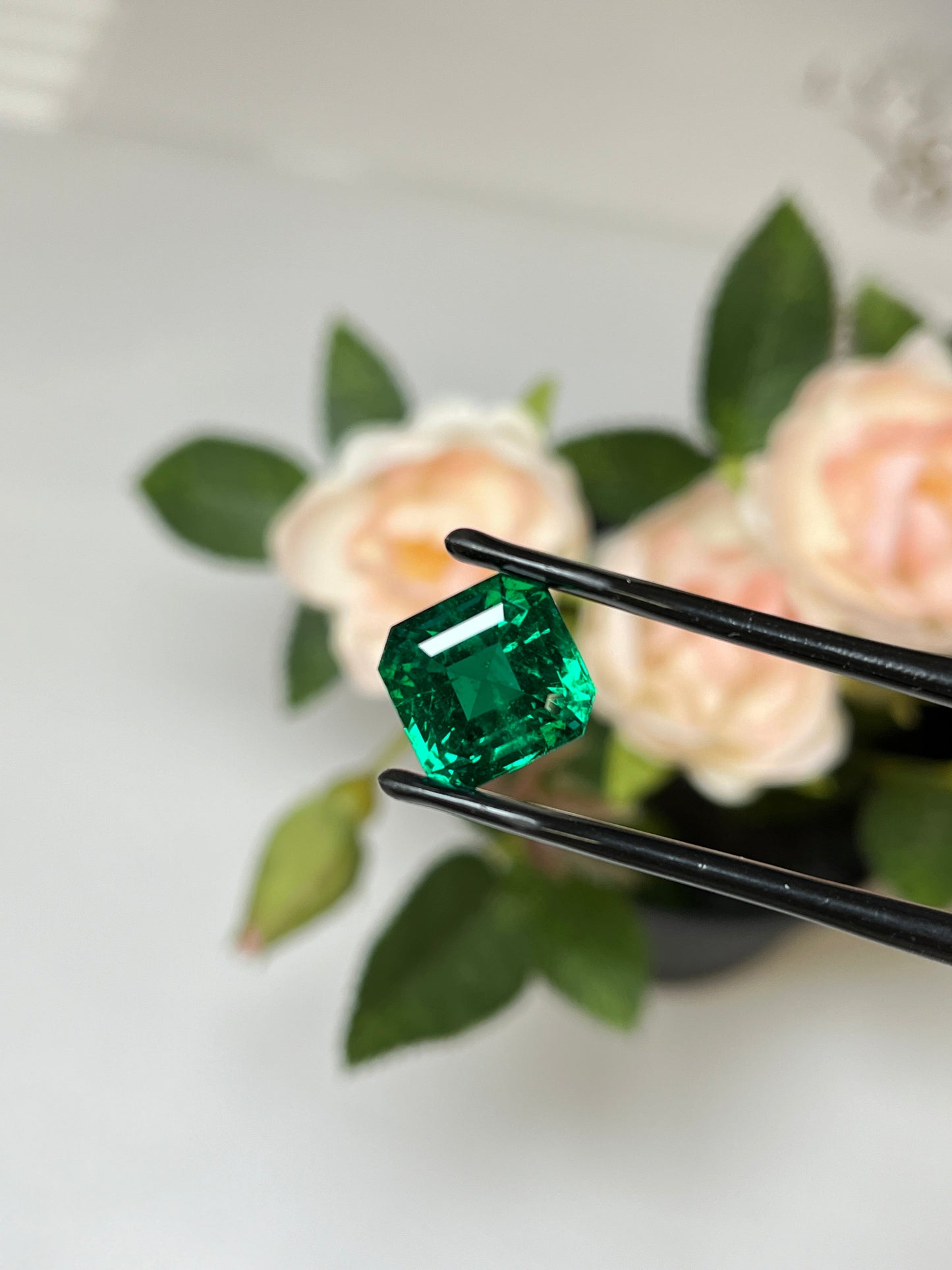 Natural Zambia No Oil Emerald 7.54 cts Octagon by SR-Takat