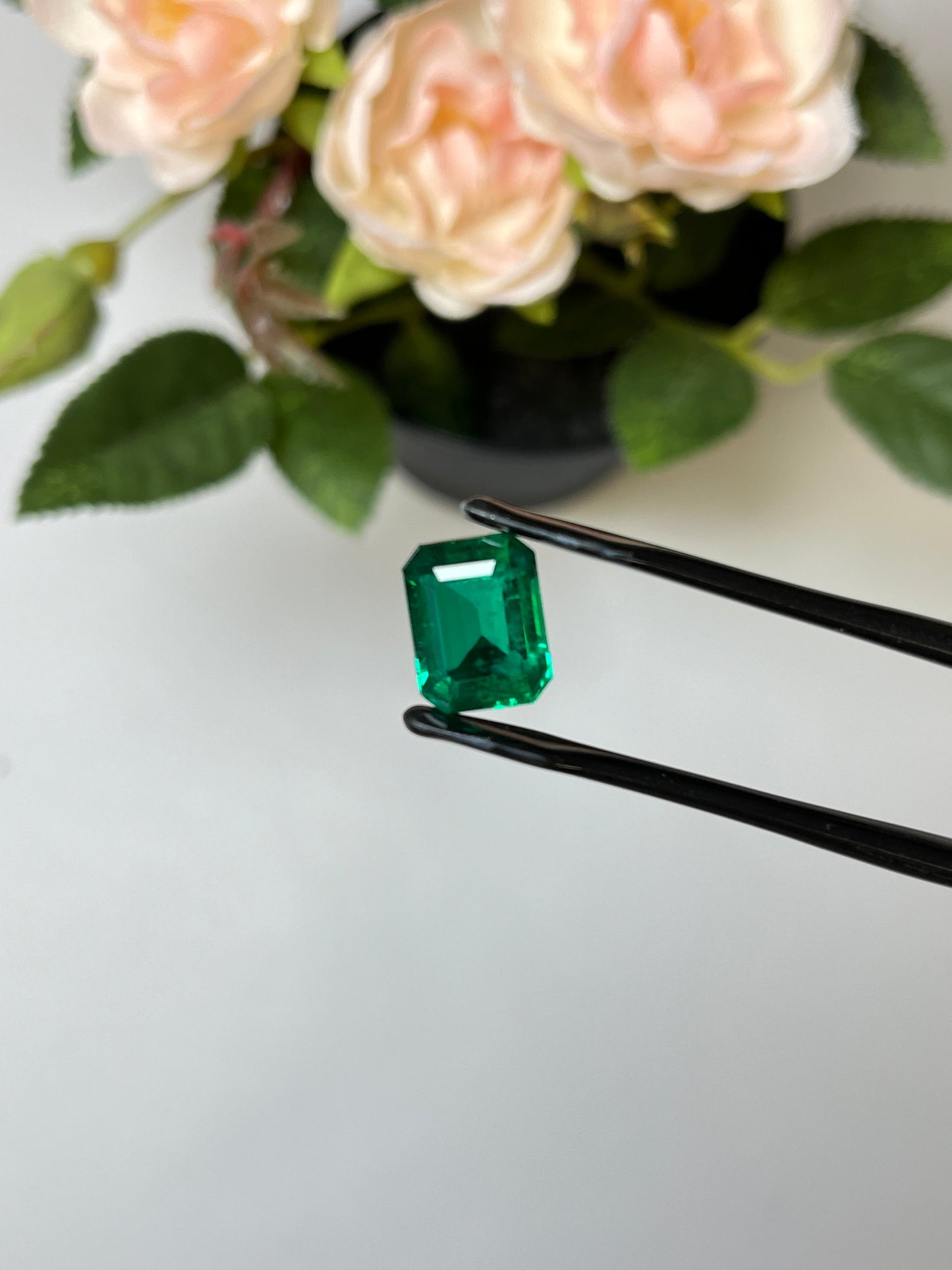 Natural Zambia Emerald 5.41cts Octagon by SR-Takat