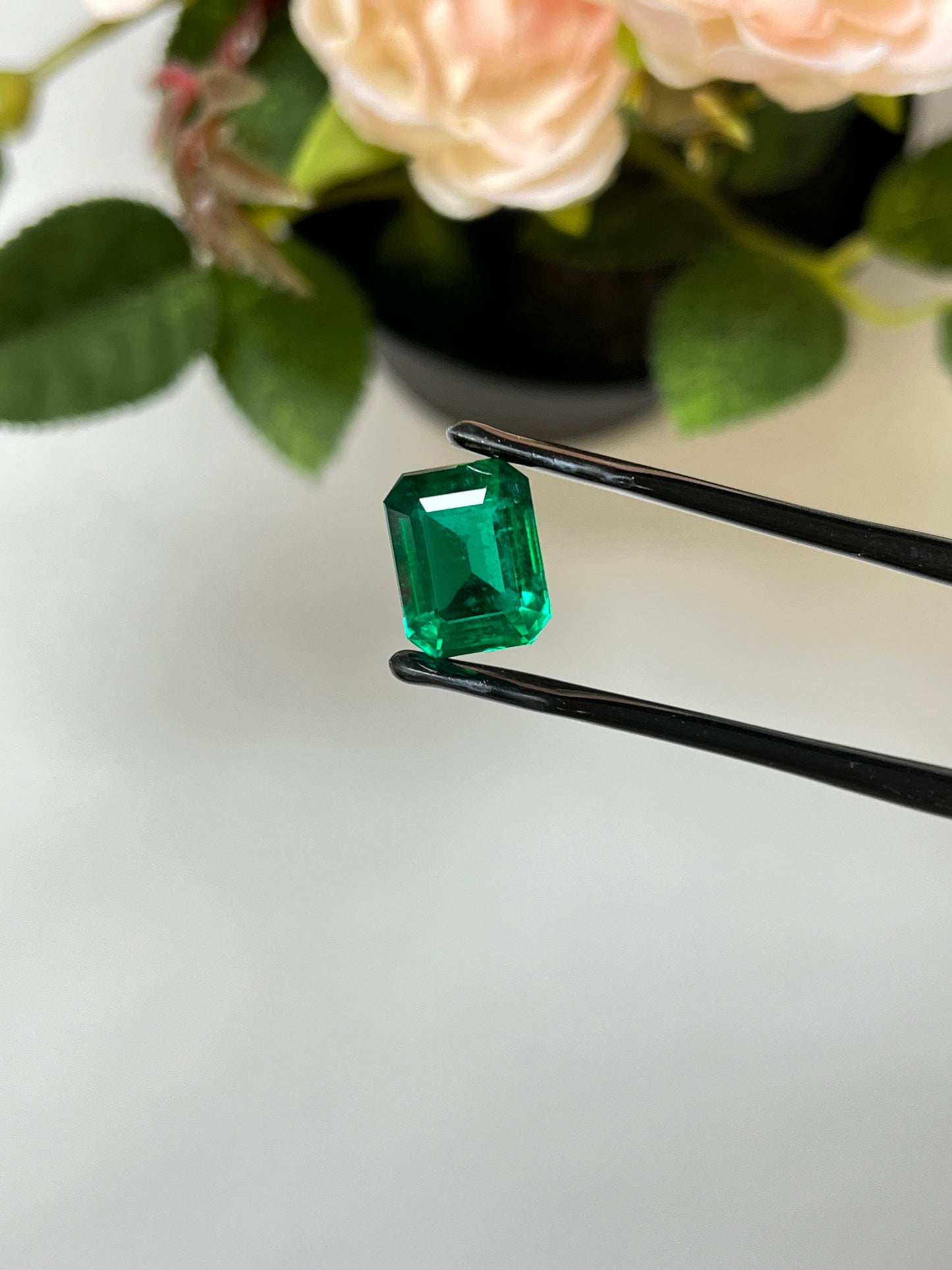Natural Zambia Emerald 5.41cts Octagon by SR-Takat
