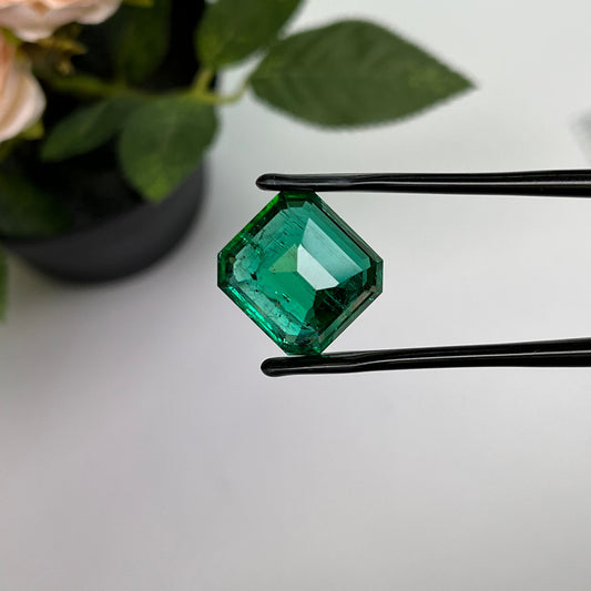 Natural Zambia Emerald 14.22 cts Octagon by SR-Takat