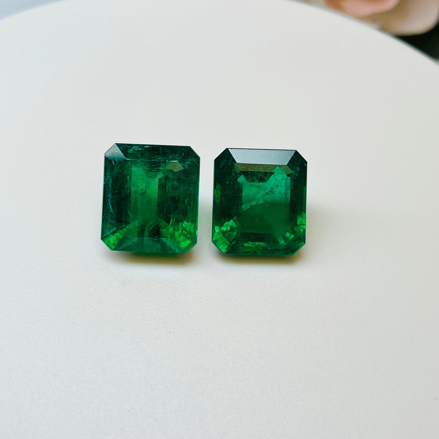 Natural Zambia Emerald 29.40 cts Octagon pair by SR-Takat