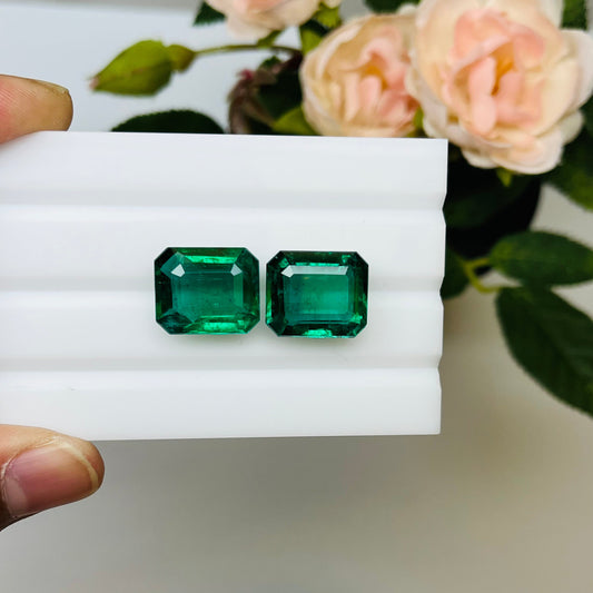 Natural Zambia Emerald 23.47 cts Octagon pair by SR-Takat