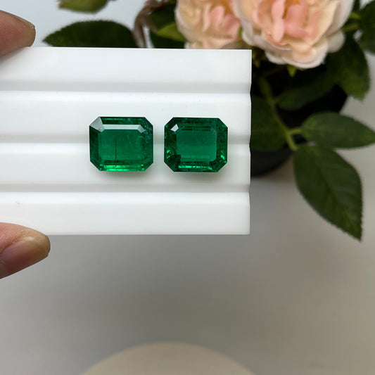 Natural Zambia Emerald 21.98 cts Octagon pair by SR-Takat