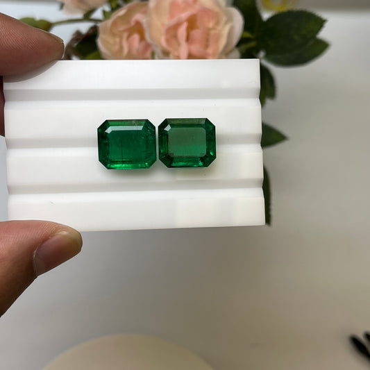 Natural Zambia Emerald 21.98 cts Octagon pair by SR-Takat