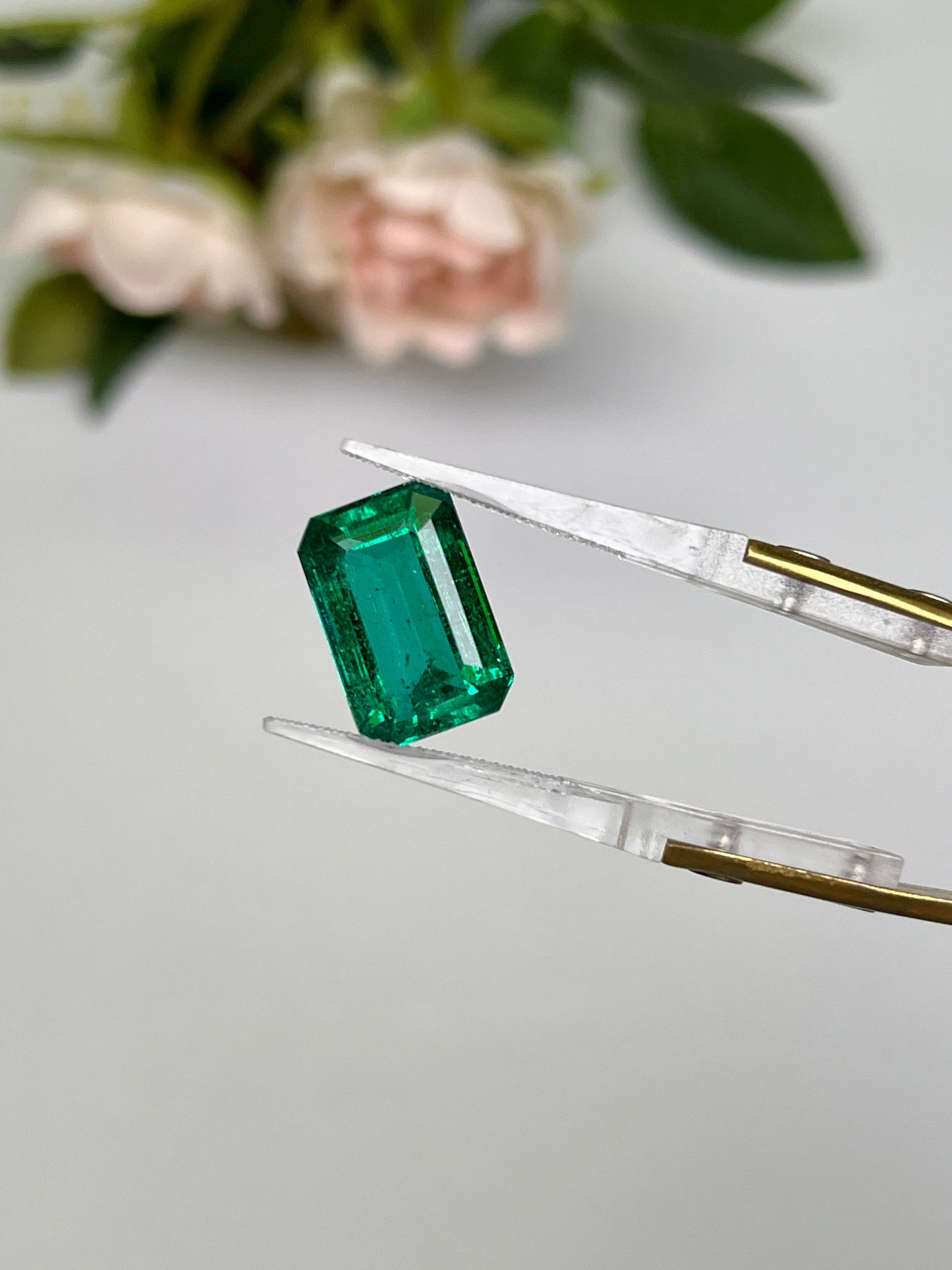 Natural Zambia Emerald 7.20 cts Octagon by SR-Takat