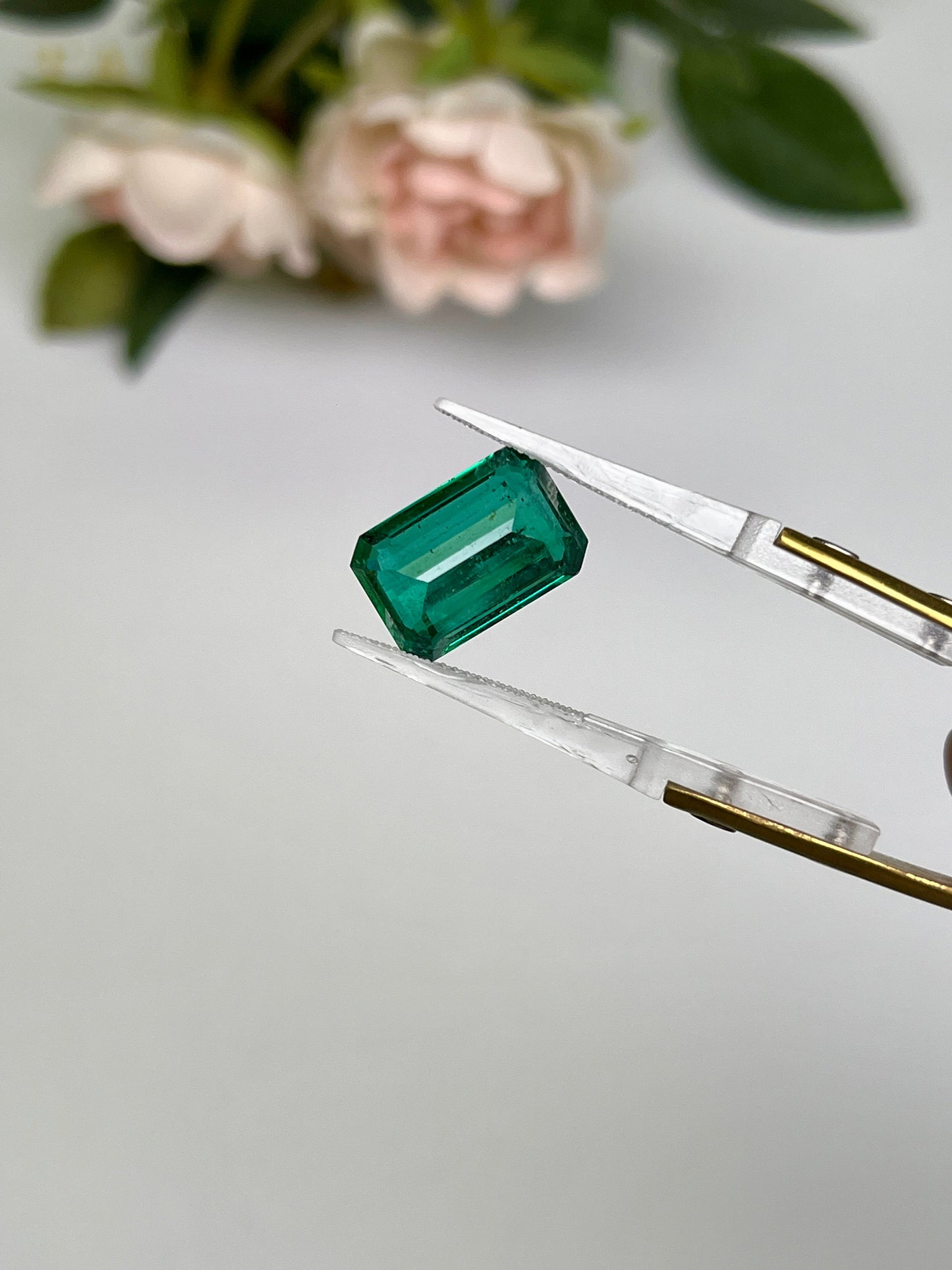 Natural Zambia Emerald 7.20 cts Octagon by SR-Takat