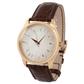 Niveau Élevé Introsistence WA-005 Swiss Luxury Ladies Watch – Diamond Dial & White Leather Strap